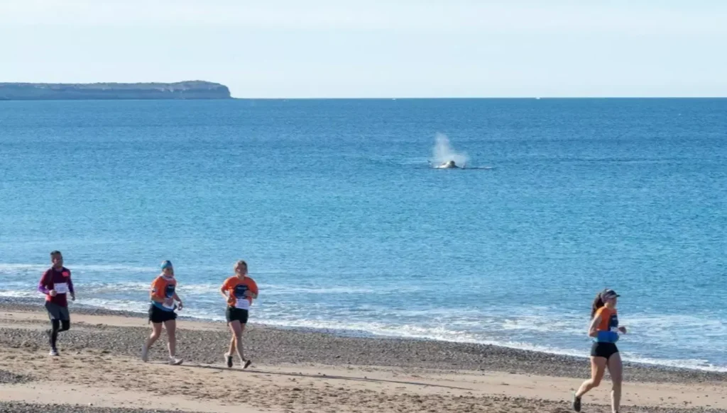 Estará restringido el acceso a la playa La Canteras durante la carrera Aventura Franca Austral